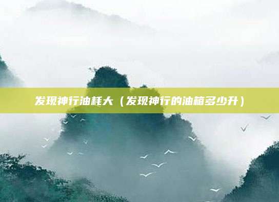 发现神行油耗大(发现神行的油箱多少升)