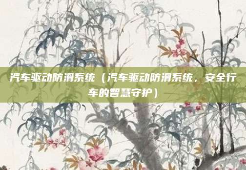汽车驱动防滑系统(汽车驱动防滑系统,安全行车的智慧守护)