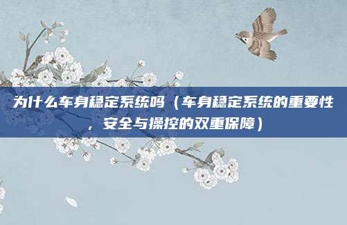 为什么车身稳定系统吗(车身稳定系统的重要性,安全与操控的双重保障)
