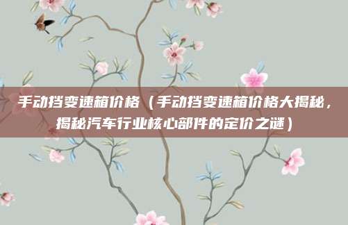 手动挡变速箱价格(手动挡变速箱价格大揭秘,揭秘汽车行业核心部件的定价之谜)