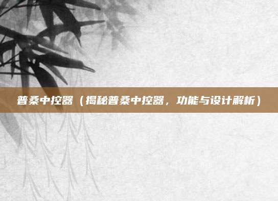 普桑中控器(揭秘普桑中控器,功能与设计解析)
