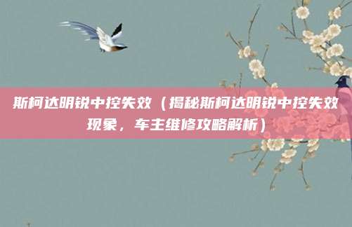 斯柯达明锐中控失效(揭秘斯柯达明锐中控失效现象,车主维修攻略解析)