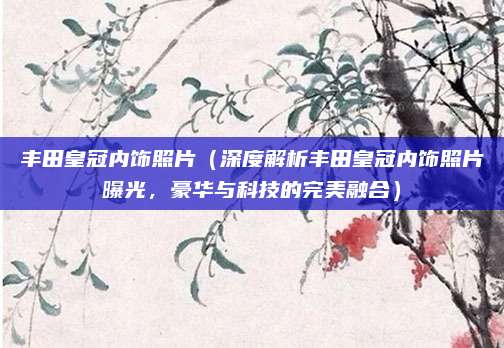 丰田皇冠内饰照片（深度解析丰田皇冠内饰照片曝光，豪华与科技的完美融合）