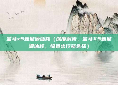 宝马x5新能源油耗（深度解析，宝马X5新能源油耗，绿色出行新选择）