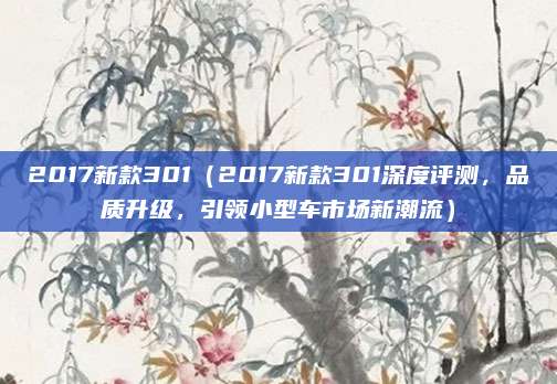 2017新款301（2017新款301深度评测，品质升级，引领小型车市场新潮流）