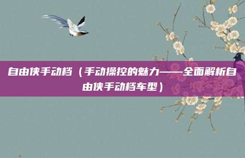 自由侠手动档（手动操控的魅力——全面解析自由侠手动档车型）