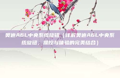 奥迪A6L中央系统旋钮(详解奥迪A6L中央系统旋钮,操控与体验的完美结合)