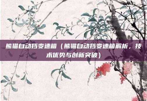 熊猫自动挡变速箱（熊猫自动挡变速箱解析，技术优势与创新突破）