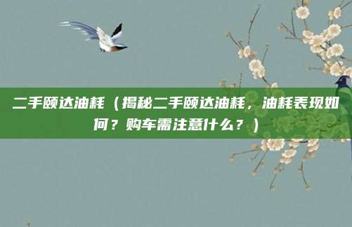 二手颐达油耗（揭秘二手颐达油耗，油耗表现如何？购车需注意什么？）