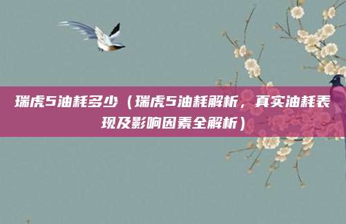 瑞虎5油耗多少(瑞虎5油耗解析,真实油耗表现及影响因素全解析)