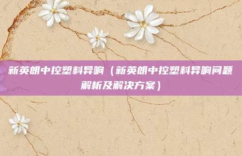 新英朗中控塑料异响(新英朗中控塑料异响问题解析及解决方案)