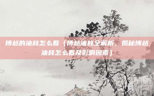 博越的油耗怎么看(博越油耗全解析,揭秘博越油耗怎么看及影响因素)