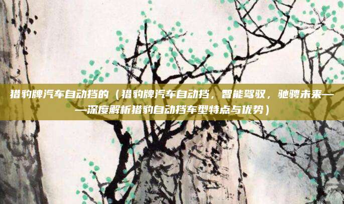 猎豹牌汽车自动挡的（猎豹牌汽车自动挡，智能驾驭，驰骋未来——深度解析猎豹自动挡车型特点与优势）