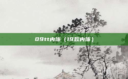 09tt内饰(19款内饰)