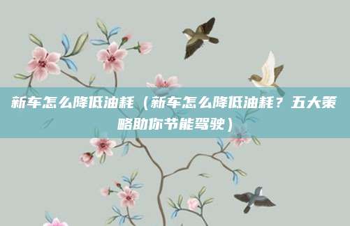新车怎么降低油耗(新车怎么降低油耗?五大策略助你节能驾驶)