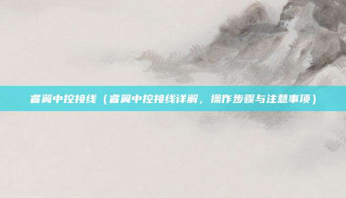 睿翼中控接线（睿翼中控接线详解，操作步骤与注意事项）