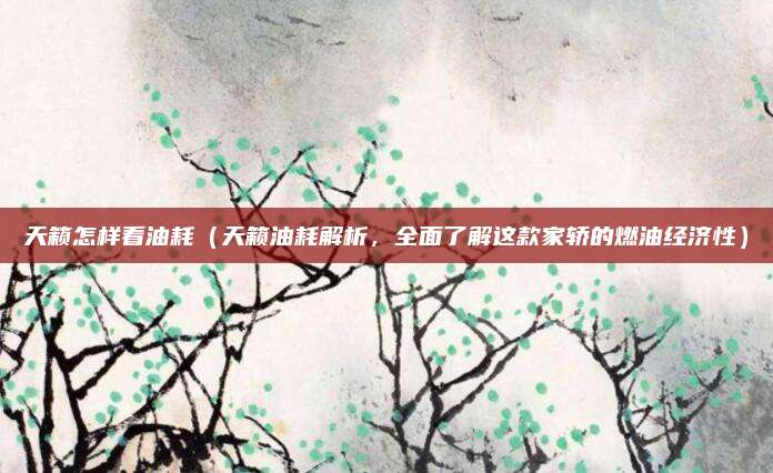 天籁怎样看油耗(天籁油耗解析,全面了解这款家轿的燃油经济性)