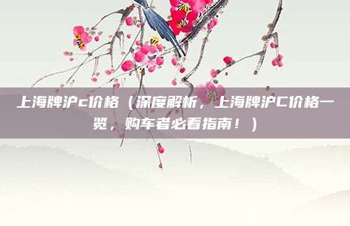 上海牌沪c价格(深度解析,上海牌沪C价格一览,购车者必看指南!)