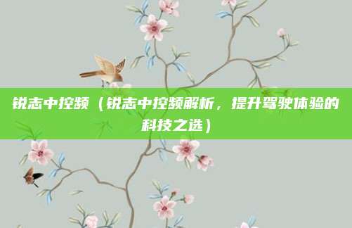 锐志中控频(锐志中控频解析,提升驾驶体验的科技之选)