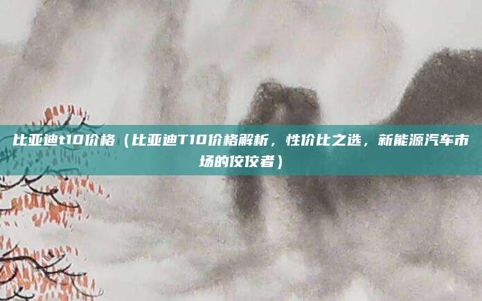 比亚迪t10价格(比亚迪T10价格解析,性价比之选,新能源汽车市场的佼佼者)
