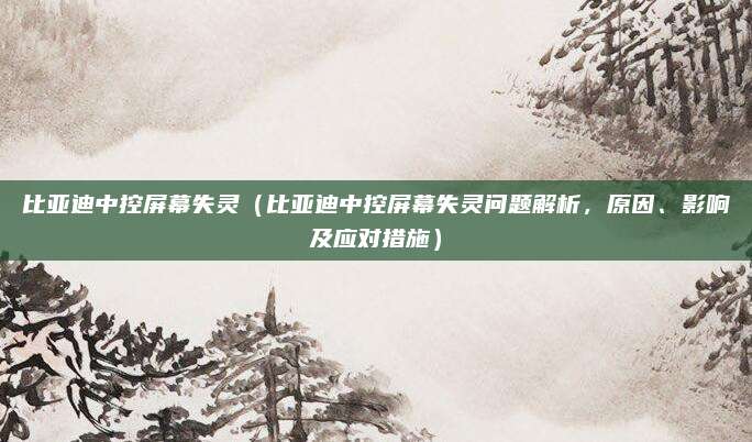 比亚迪中控屏幕失灵(比亚迪中控屏幕失灵问题解析,原因、影响及应对措施)