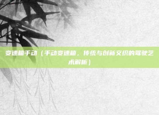 变速箱手动(手动变速箱,传统与创新交织的驾驶艺术解析)