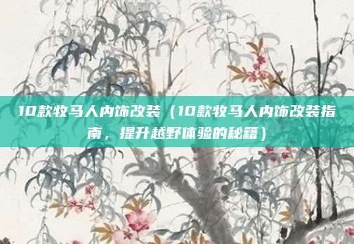 10款牧马人内饰改装(10款牧马人内饰改装指南,提升越野体验的秘籍)