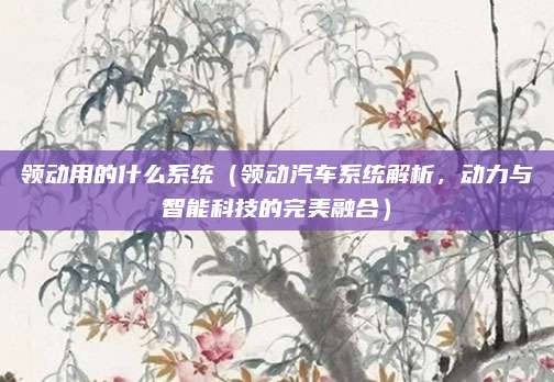 领动用的什么系统（领动汽车系统解析，动力与智能科技的完美融合）