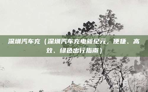 深圳汽车充(深圳汽车充电新纪元,便捷、高效、绿色出行指南)