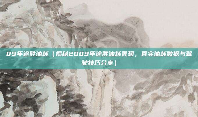 09年途胜油耗(揭秘2009年途胜油耗表现,真实油耗数据与驾驶技巧分享)