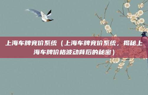 上海车牌竞价系统（上海车牌竞价系统，揭秘上海车牌价格波动背后的秘密）