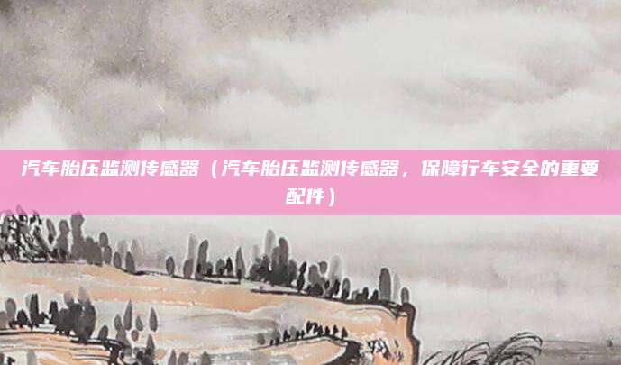 汽车胎压监测传感器（汽车胎压监测传感器，保障行车安全的重要配件）