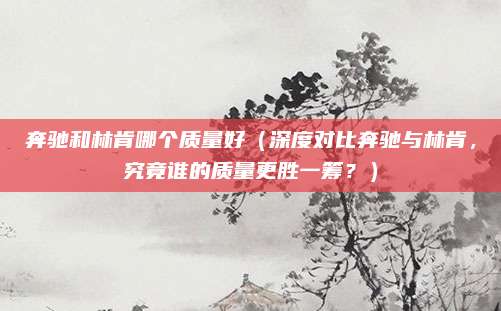 奔驰和林肯哪个质量好(深度对比奔驰与林肯,究竟谁的质量更胜一筹?)
