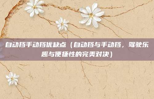 自动挡手动挡优缺点（自动挡与手动挡，驾驶乐趣与便捷性的完美对决）