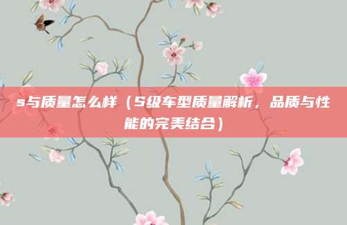 s与质量怎么样(S级车型质量解析,品质与性能的完美结合)