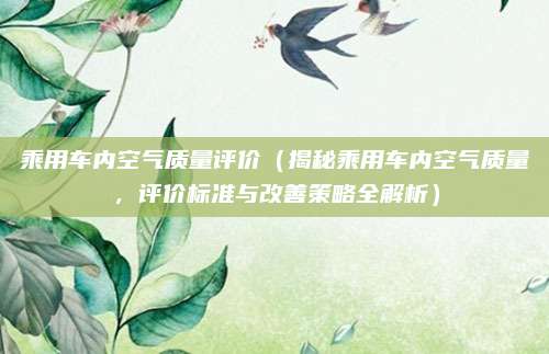 乘用车内空气质量评价(揭秘乘用车内空气质量,评价标准与改善策略全解析)