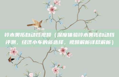 铃木奥拓自动挡视频(深度体验铃木奥拓自动挡评测,经济小车的新选择,视频解析详尽解析)