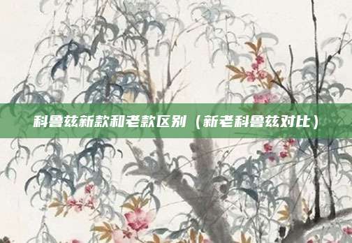 科鲁兹新款和老款区别(新老科鲁兹对比)