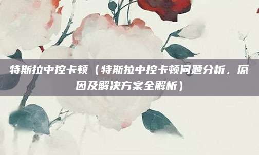 特斯拉中控卡顿（特斯拉中控卡顿问题分析，原因及解决方案全解析）