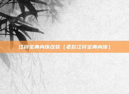 江铃宝典内饰改装（老款江铃宝典内饰）