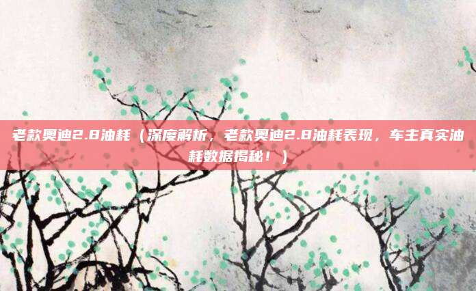 老款奥迪2.8油耗（深度解析，老款奥迪2.8油耗表现，车主真实油耗数据揭秘！）