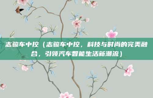 志骏车中控（志骏车中控，科技与时尚的完美融合，引领汽车智能生活新潮流）