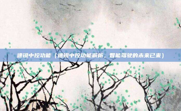速锐中控功能（速锐中控功能解析，智能驾驶的未来已来）