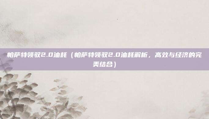 帕萨特领驭2.0油耗(帕萨特领驭2.0油耗解析,高效与经济的完美结合)