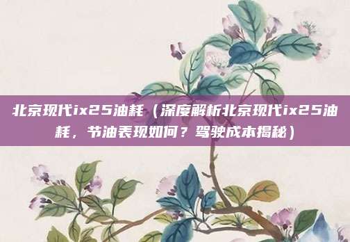 北京现代ix25油耗(深度解析北京现代ix25油耗,节油表现如何?驾驶成本揭秘)