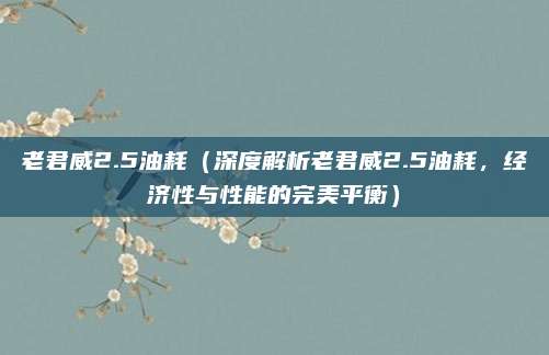 老君威2.5油耗（深度解析老君威2.5油耗，经济性与性能的完美平衡）