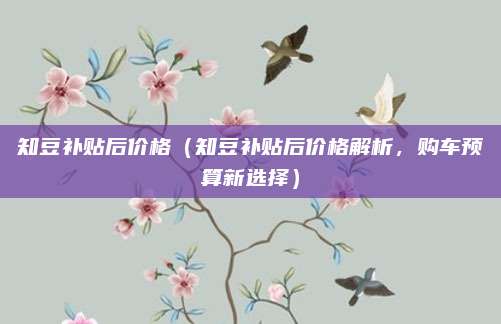 知豆补贴后价格（知豆补贴后价格解析，购车预算新选择）