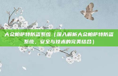 大众帕萨特防盗系统（深入解析大众帕萨特防盗系统，安全与技术的完美结合）