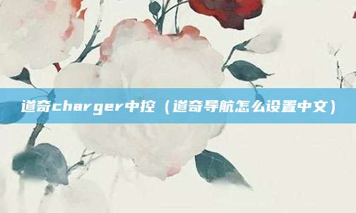 道奇charger中控(道奇导航怎么设置中文)