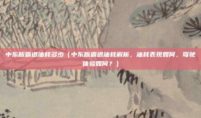 中东版霸道油耗多少（中东版霸道油耗解析，油耗表现如何，驾驶体验如何？）